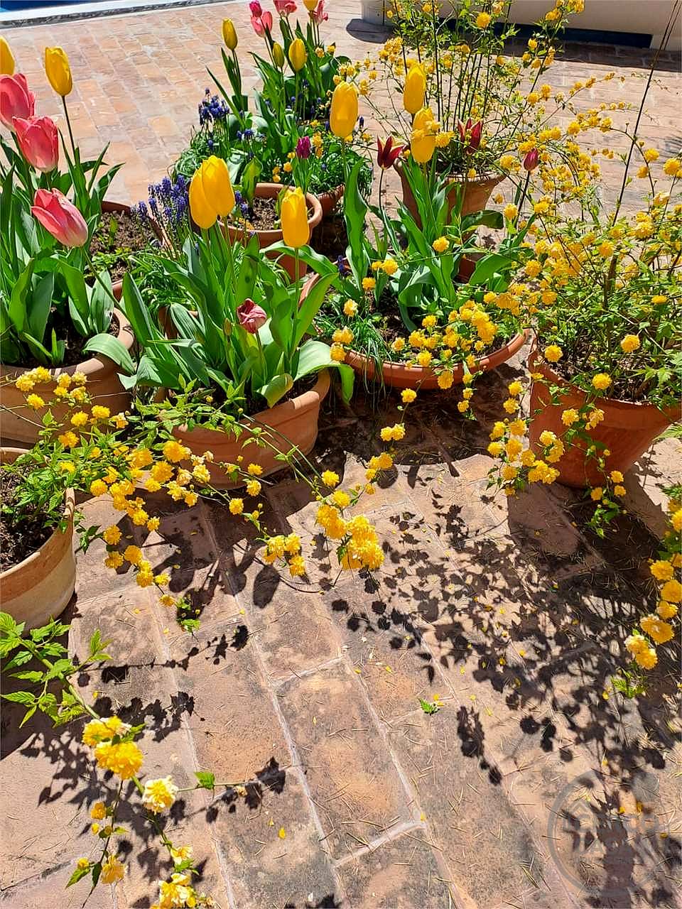 Perugia - Semicentro - Località Colle della Trinità