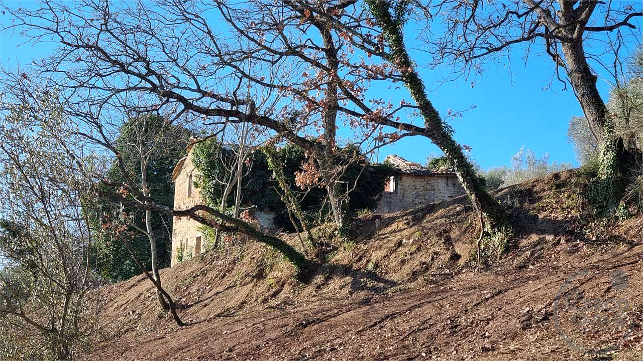 Casale con 1,5 ettari di terreno e uliveto Marsciano / Compignano