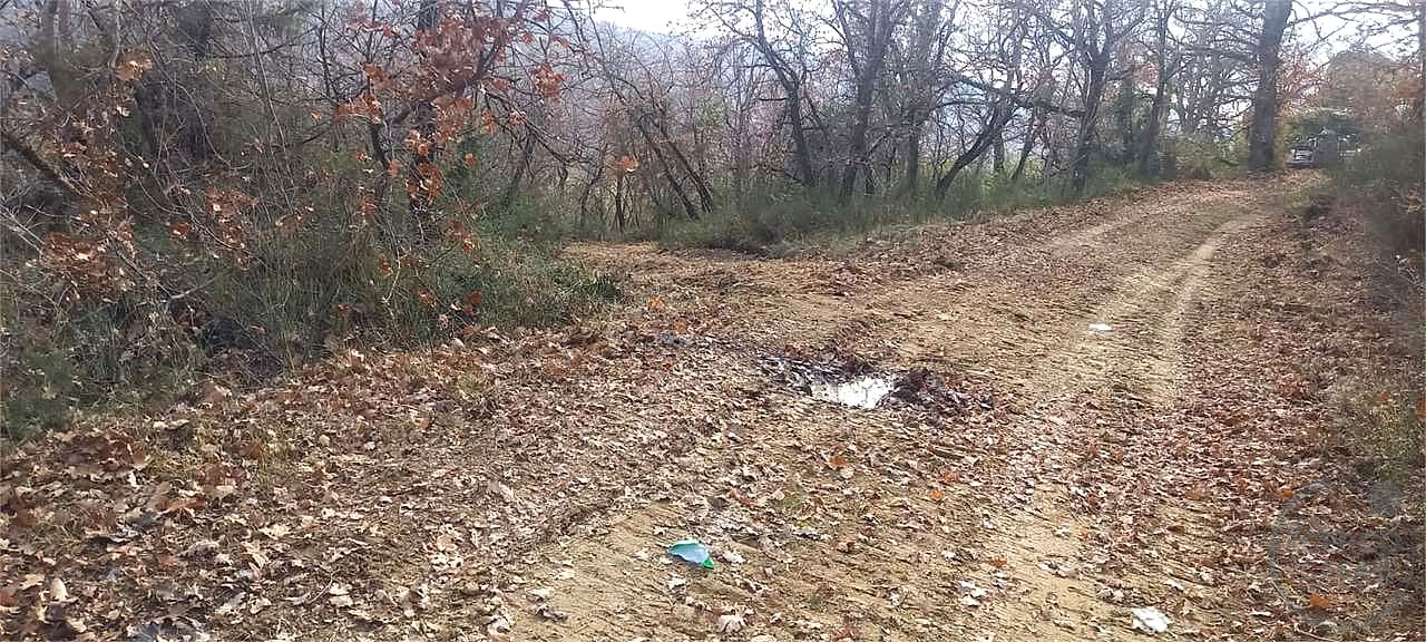 Casale con 1,5 ettari di terreno e uliveto Marsciano / Compignano