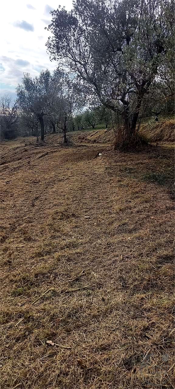 Casale con 1,5 ettari di terreno e uliveto Marsciano / Compignano