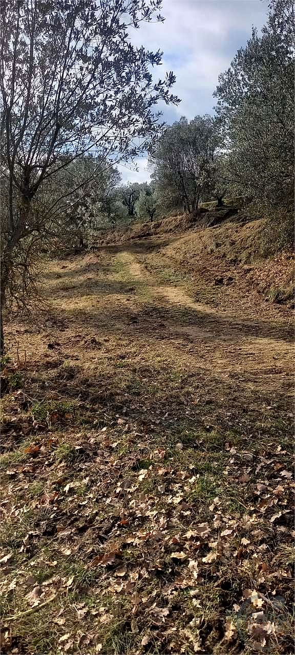 Casale con 1,5 ettari di terreno e uliveto Marsciano / Compignano