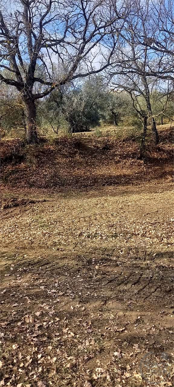 Casale con 1,5 ettari di terreno e uliveto Marsciano / Compignano