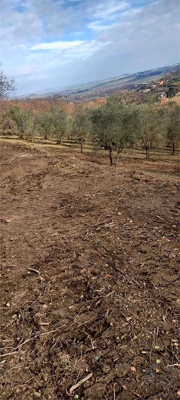 Casale con 1,5 ettari di terreno e uliveto Marsciano / Compignano