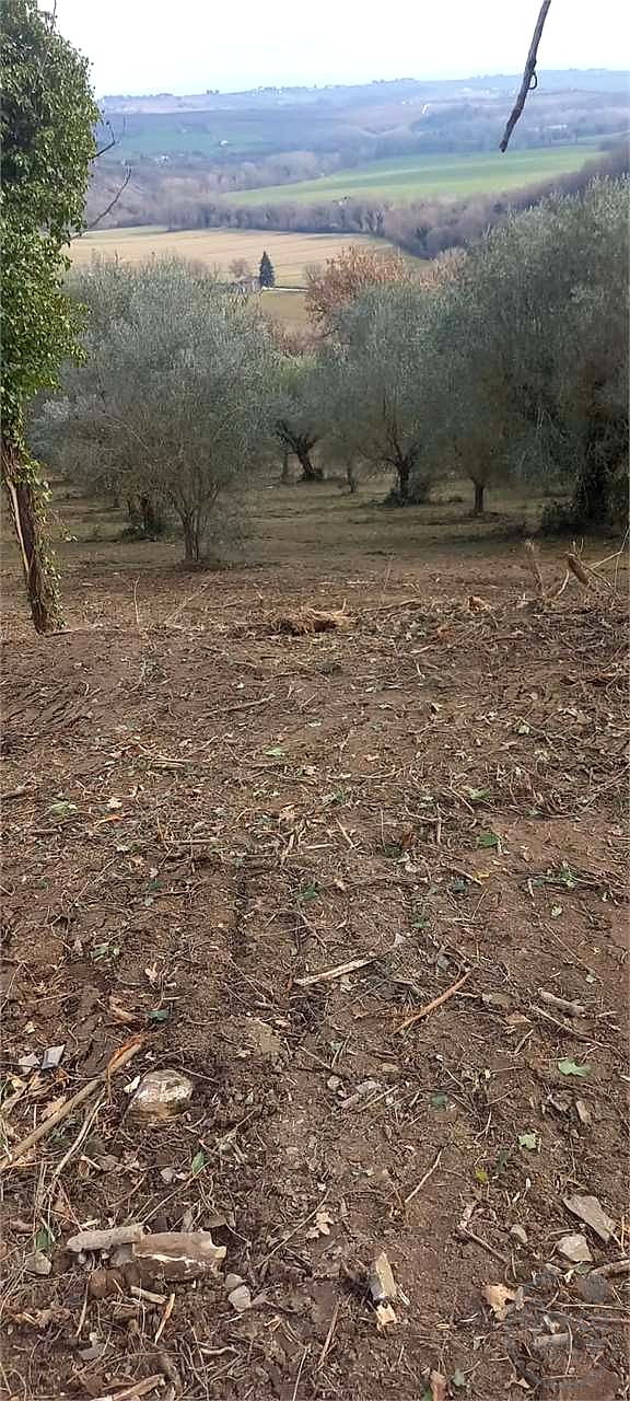 Casale con 1,5 ettari di terreno e uliveto Marsciano / Compignano