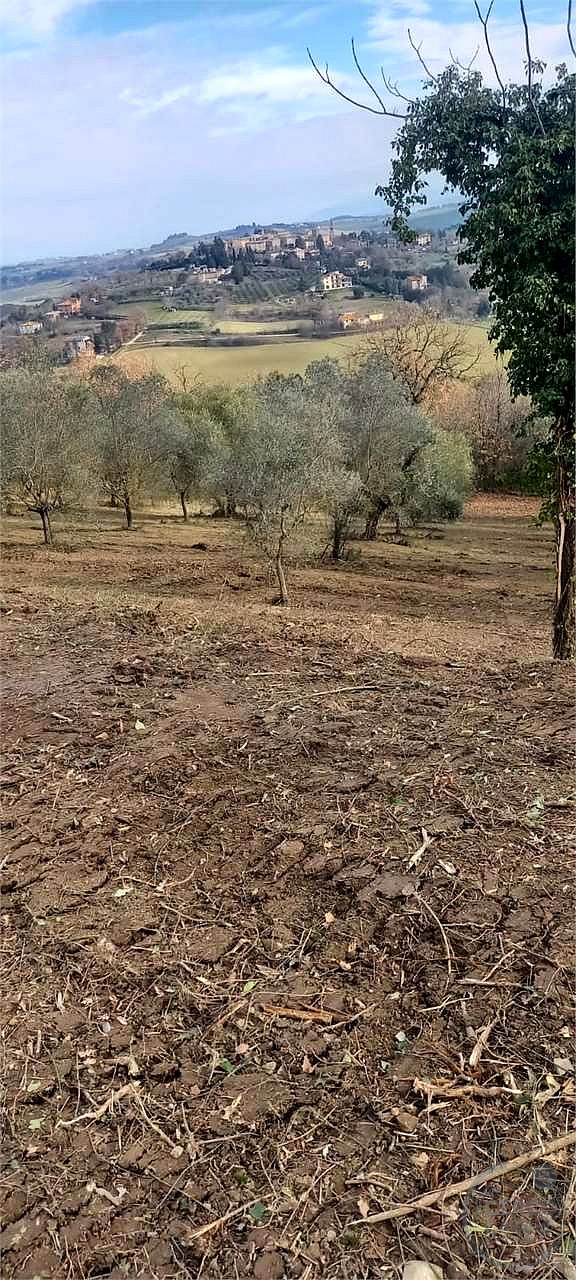 Casale con 1,5 ettari di terreno e uliveto Marsciano / Compignano