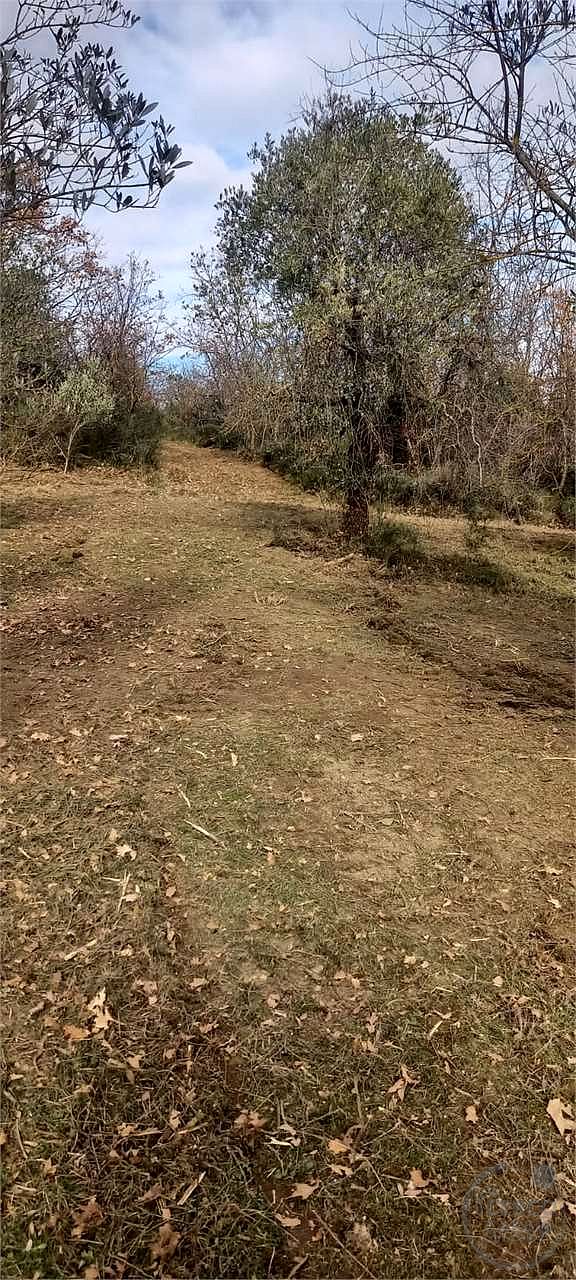 Casale con 1,5 ettari di terreno e uliveto Marsciano / Compignano