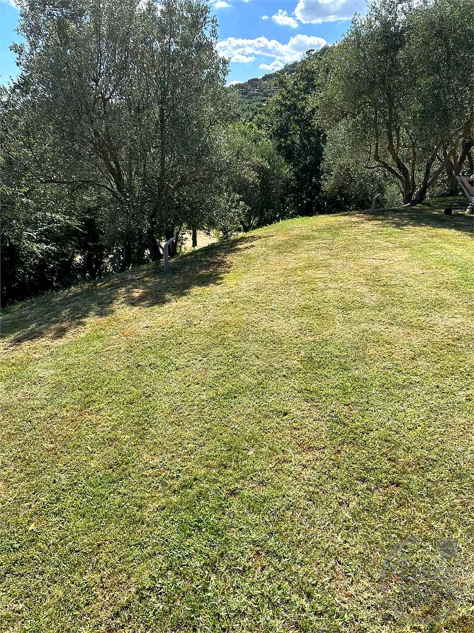 Appartamento con giardino in Castello