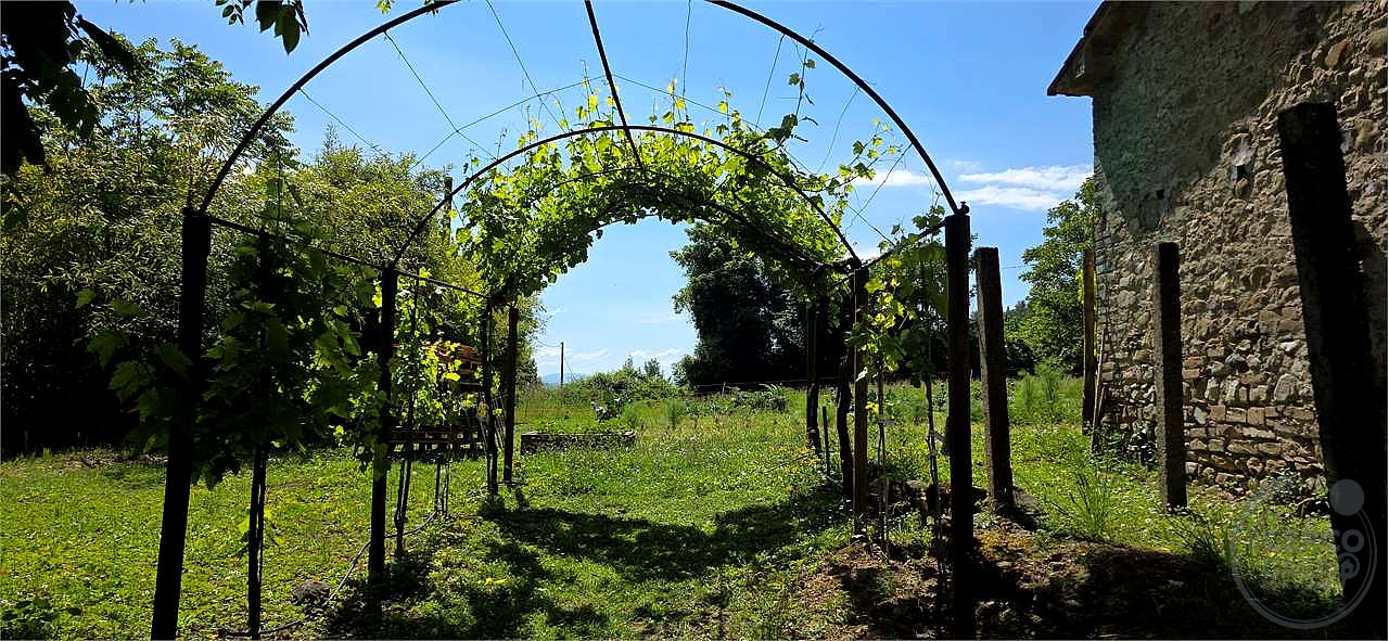 Rustico casale di pregio da recuperare – Umbertide (PG)
