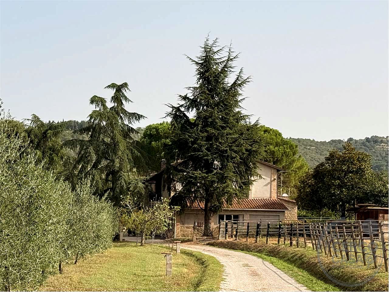 PORZIONE DI CASALE CON TERRENO E OLIVI - Magione