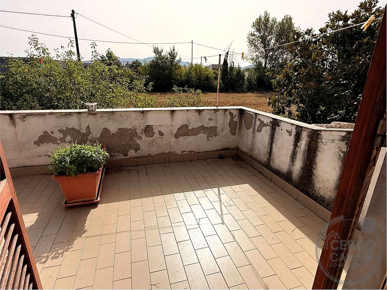PORZIONE DI CASALE CON TERRENO E OLIVI