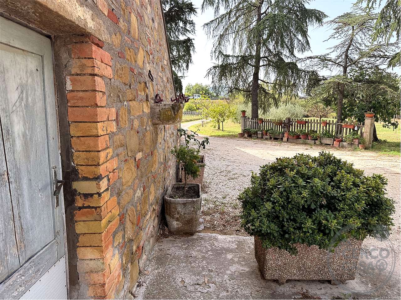 PORZIONE DI CASALE CON TERRENO E OLIVI
