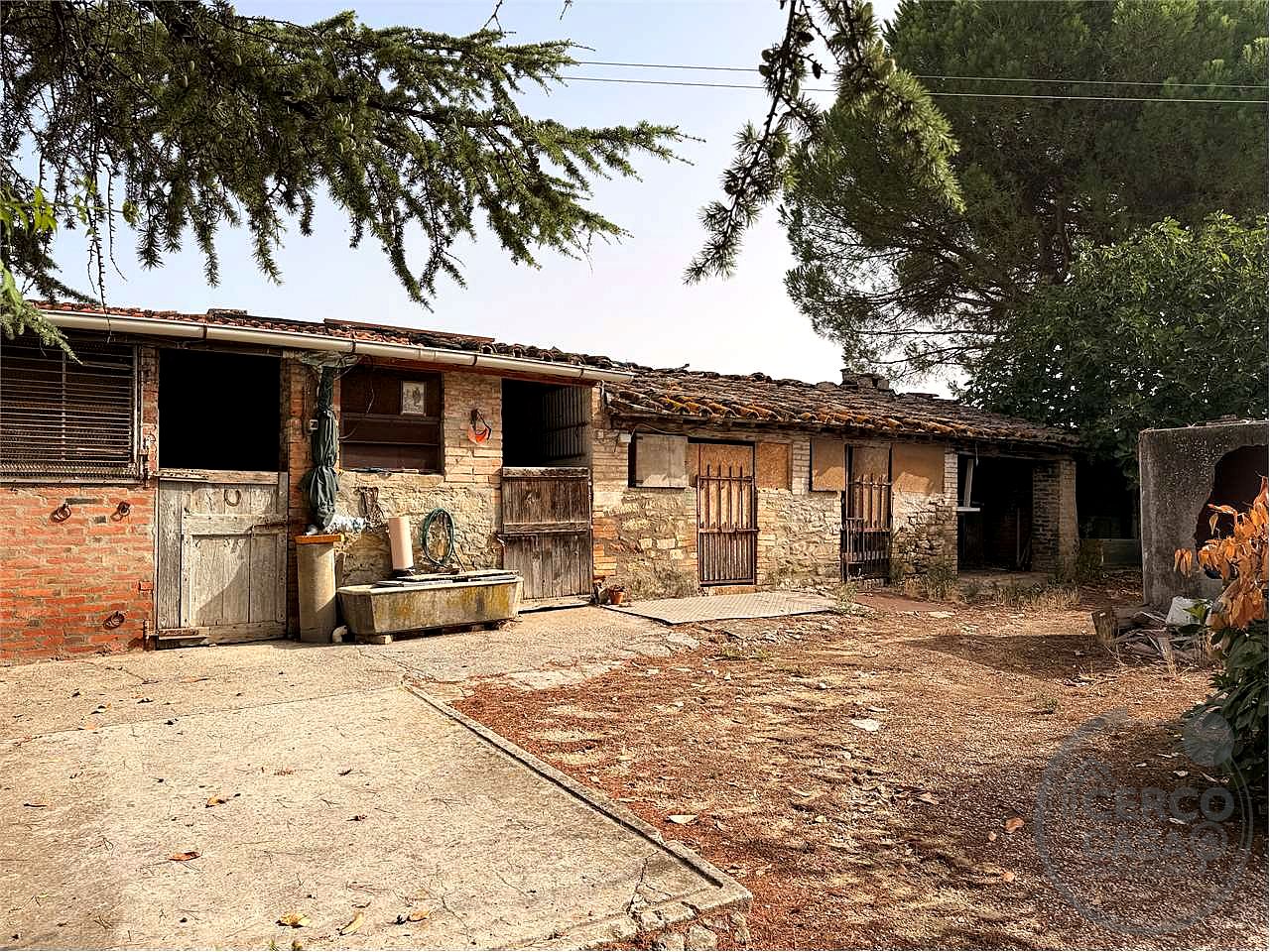 PORZIONE DI CASALE CON TERRENO E OLIVI