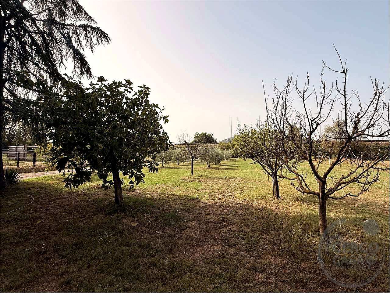 PORZIONE DI CASALE CON TERRENO E OLIVI