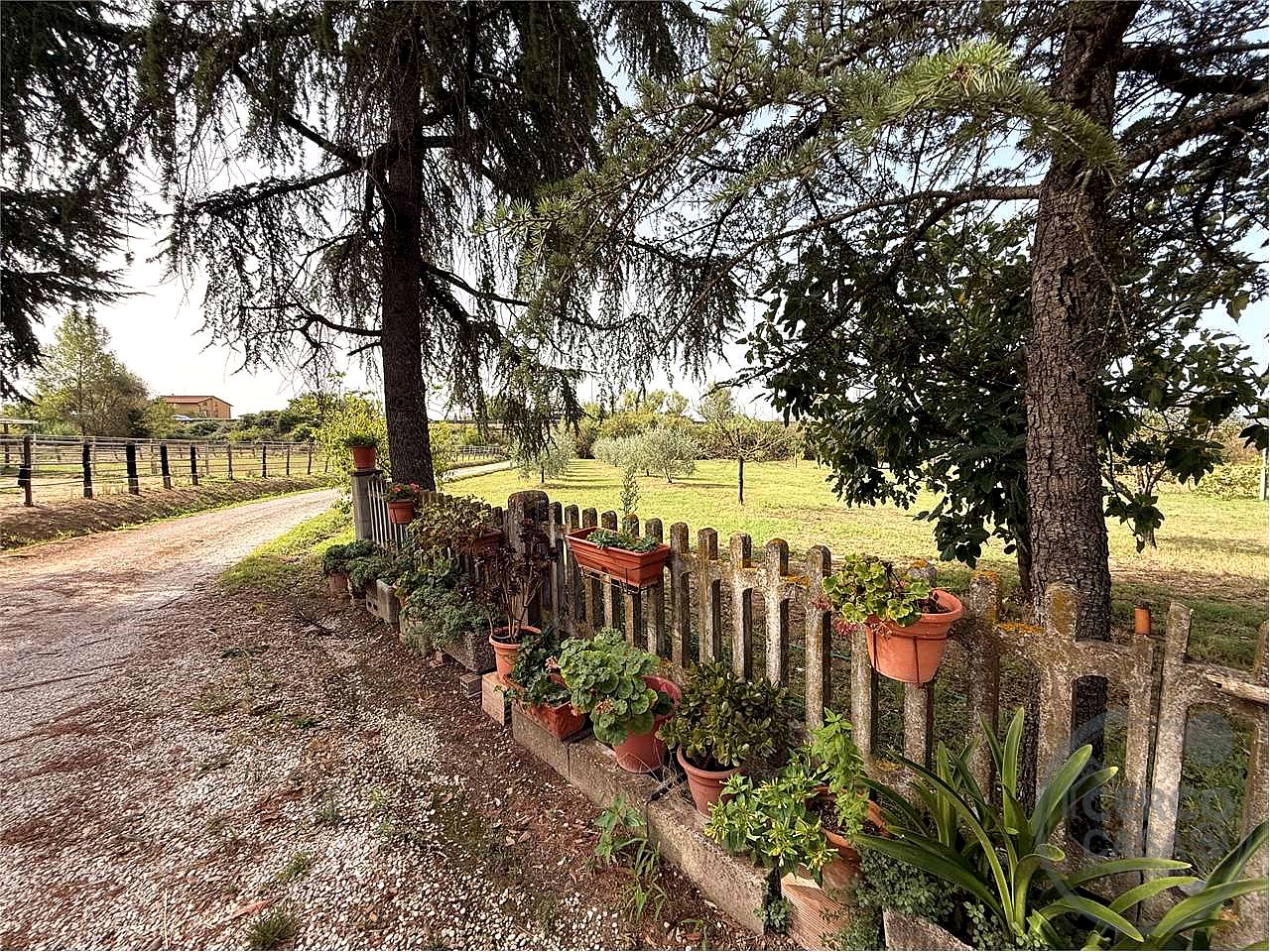 PORZIONE DI CASALE CON TERRENO E OLIVI