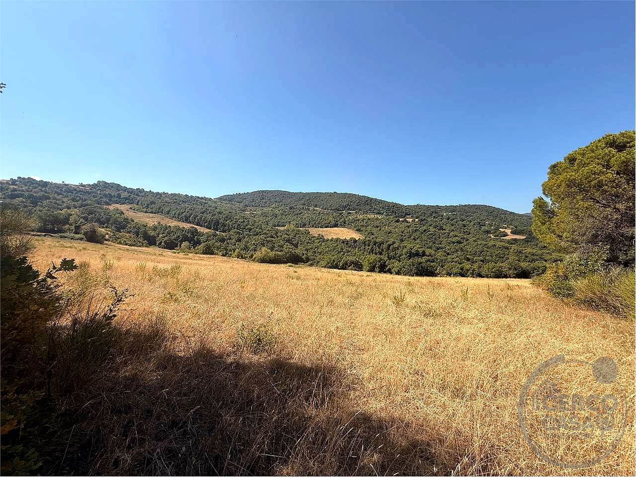 Terreno agricolo di circa 26 ettari - Piegaro