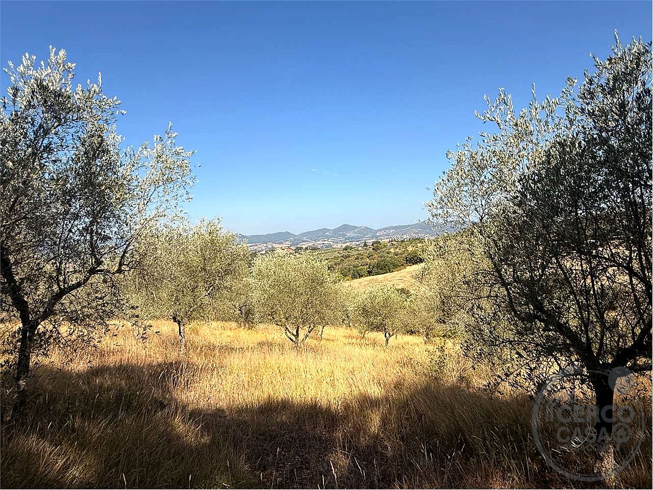 Terreno agricolo di circa 26 ettari