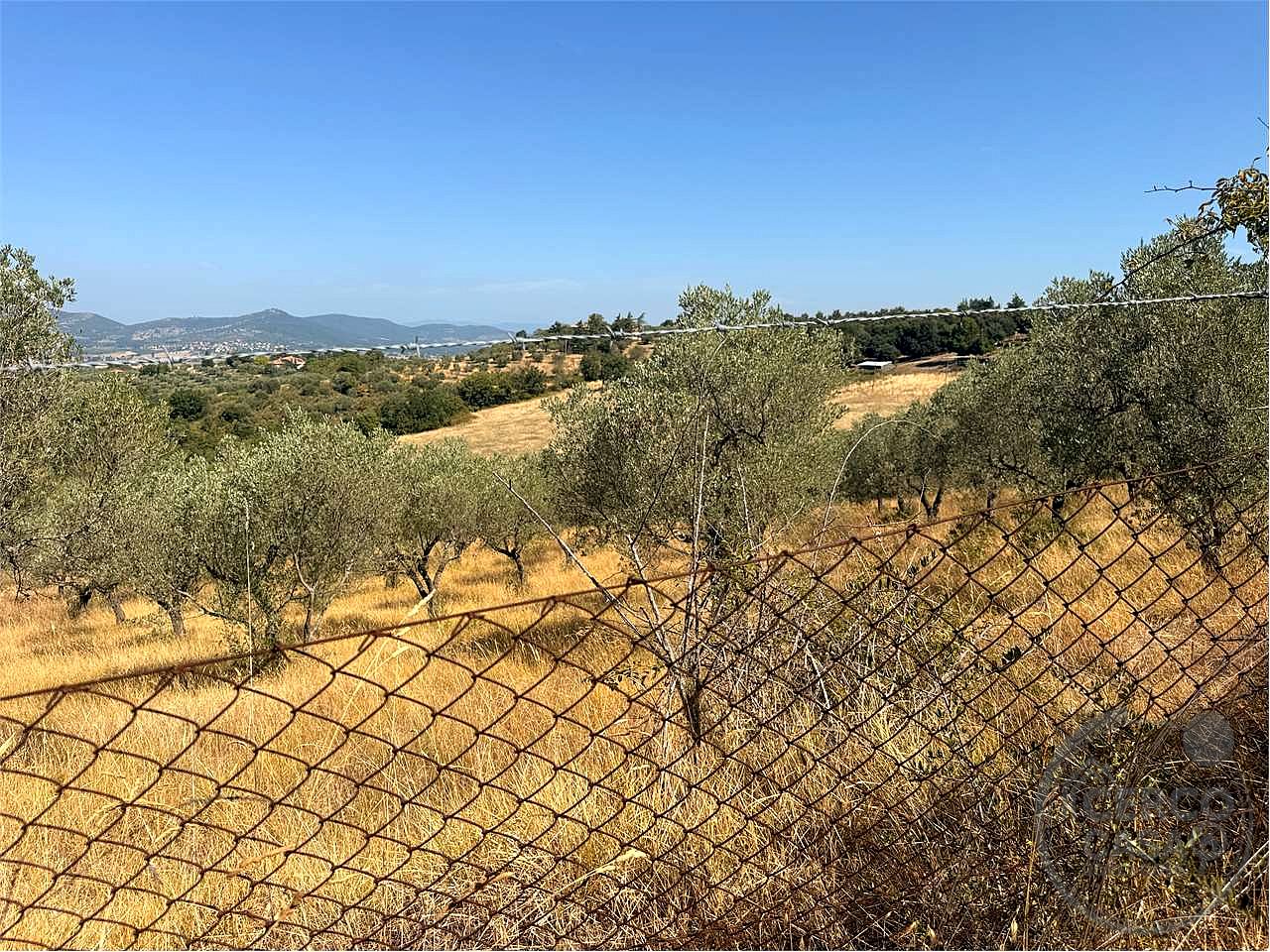 Terreno agricolo di circa 26 ettari