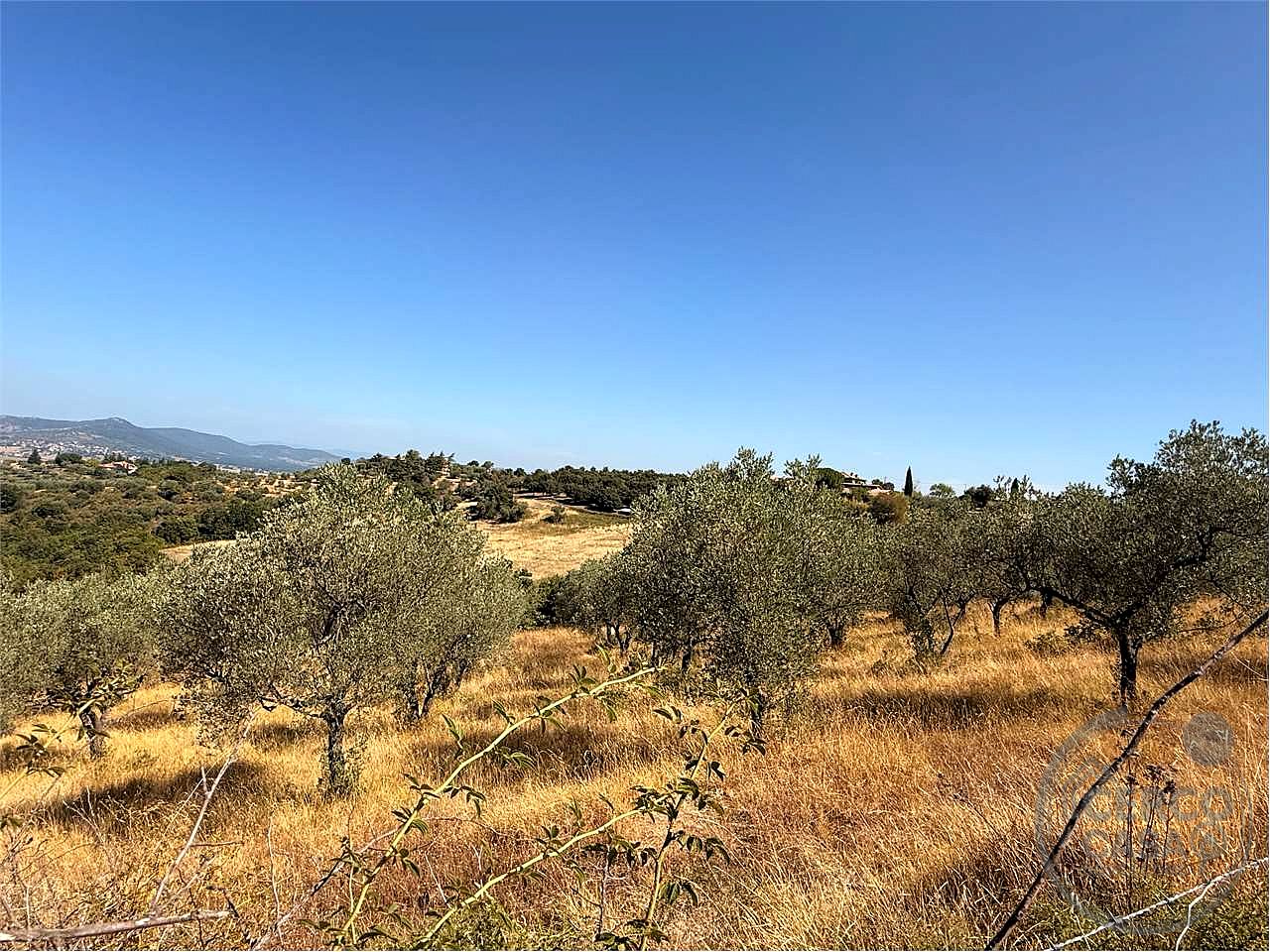 Terreno agricolo di circa 26 ettari