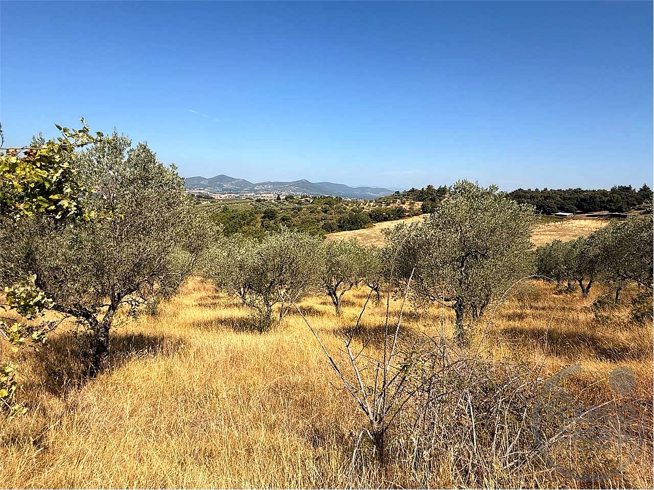 Terreno agricolo di circa 26 ettari