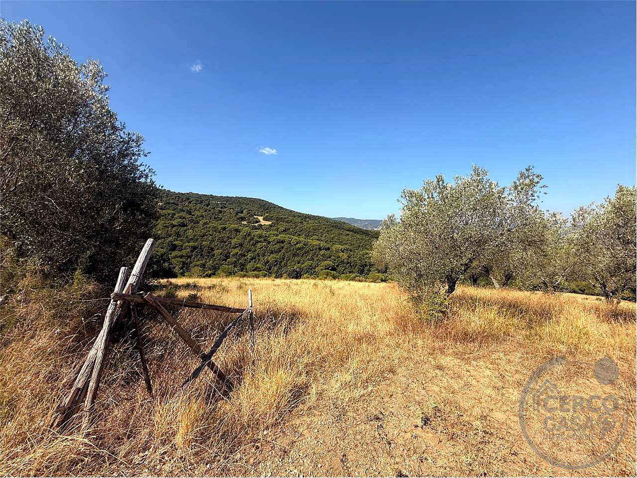 Terreno agricolo di circa 26 ettari