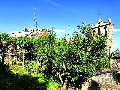 APPARTAMENTO VENDITA MASSA MARTANA · foto 13