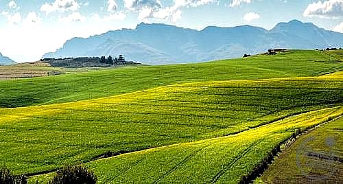 TERRENO EDIFICABILE VENDITA ASSISI SANTA MARIA DEGLI ANGELI · foto 22