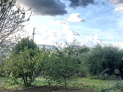 TERRENO EDIFICABILE VENDITA ASSISI SANTA MARIA DEGLI ANGELI · foto 33