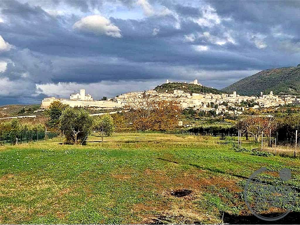 TERRENO EDIFICABILE VENDITA ASSISI SANTA MARIA DEGLI ANGELI - Assisi-santa maria degli angeli