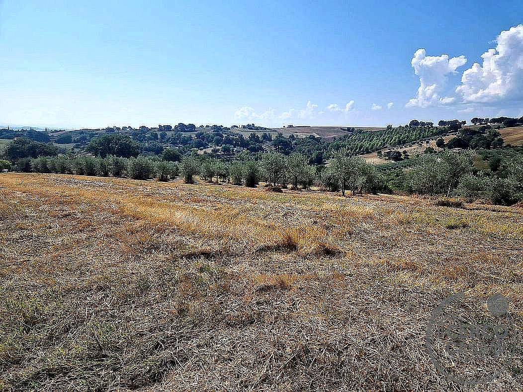 RUSTICO - CASALE VENDITA MARSCIANO SAN VALENTINO DELLA COLLINA · foto 4
