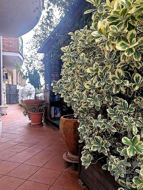 VILLA A SCHIERA VENDITA PERUGIA COLLESTRADA · foto 8