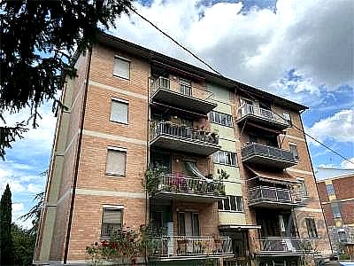 APPARTAMENTO VENDITA POGGIODOMO · foto 30