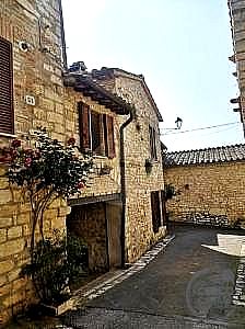 CIELO - TERRA VENDITA GUBBIO · foto 22