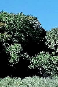 RUSTICO - CASALE VENDITA SPOLETO · foto 11