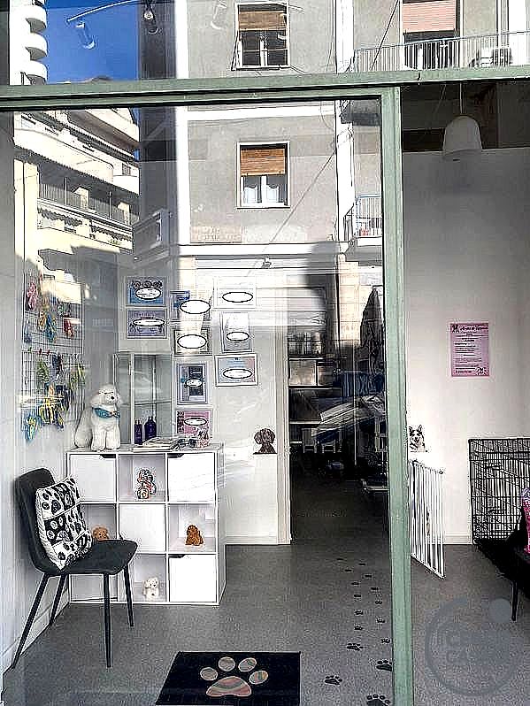 NEGOZIO VENDITA TERNI BATTISTI · foto 2
