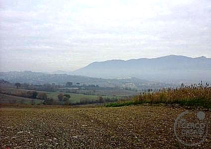 TERRENO EDIFICABILE VENDITA MONTECASTRILLI · foto 16